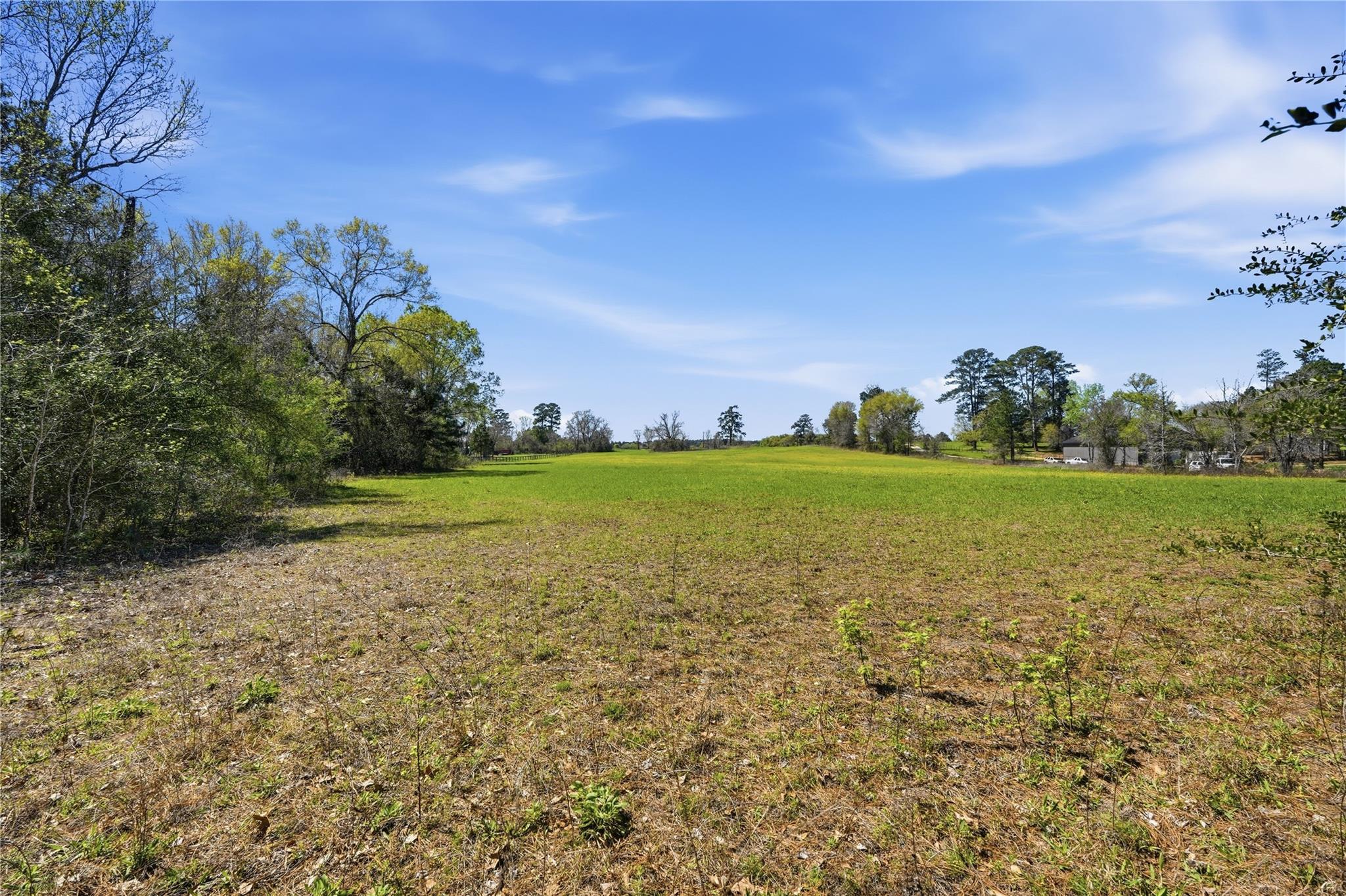 27390 Fm 1097 West