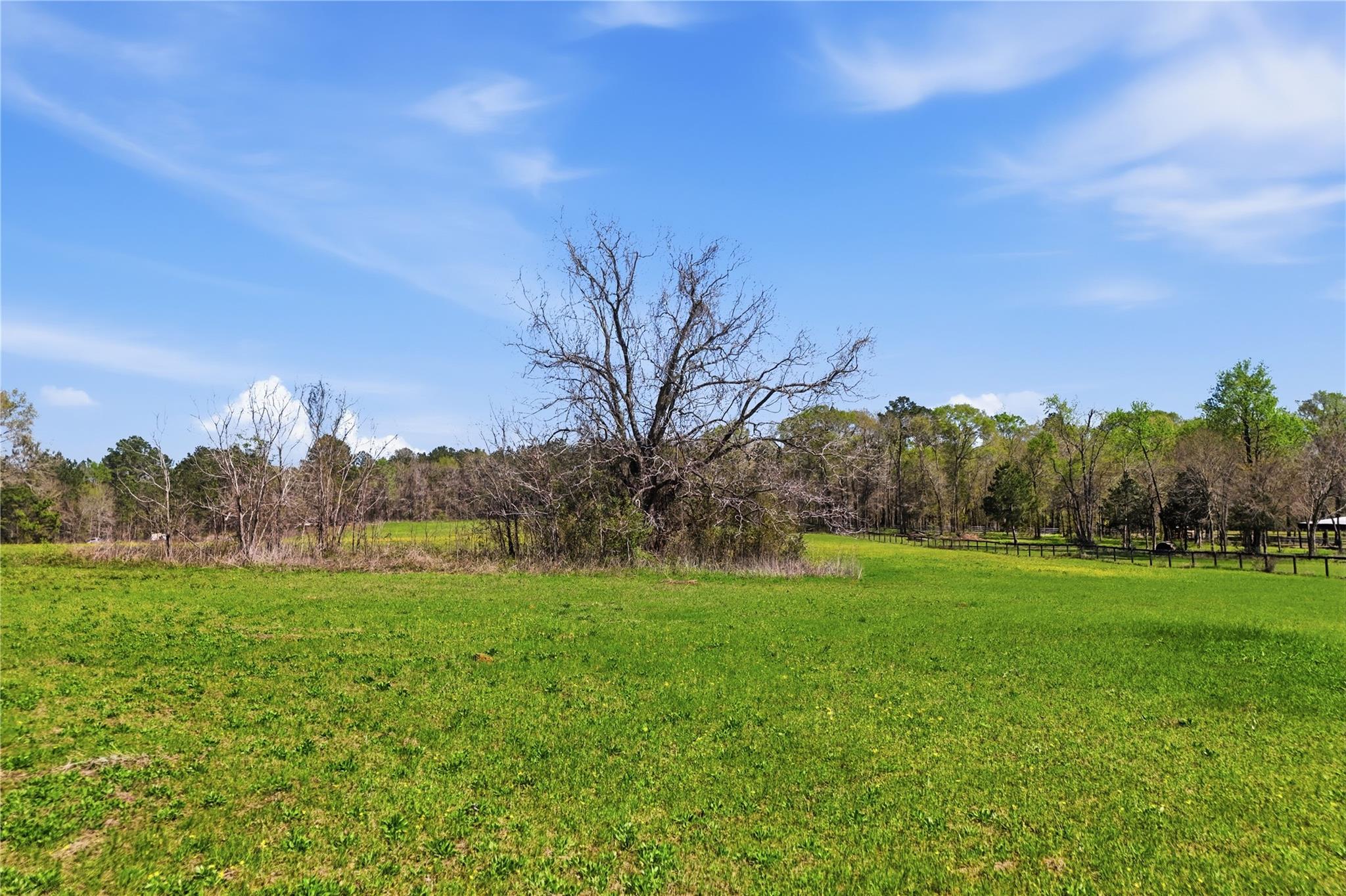 27390 Fm 1097 West