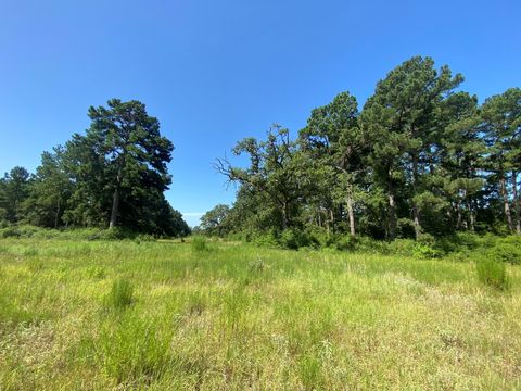 Vacant Land For Sale - LOT 8 County Road 114<br/> Centerville, TX 75833