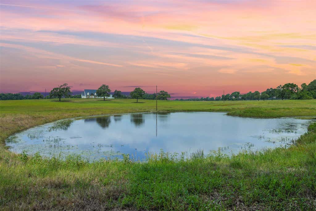 Photo of 4503 County Road 308, Caldwell, TX 77836 (MLS # 80931009)