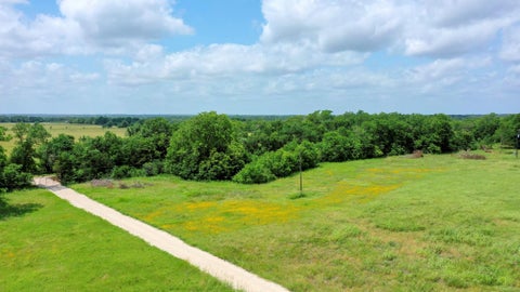 Photo of TBD Cr 328, Tract 3, 10 Acres, Caldwell, TX 77836 (MLS # 77366994)