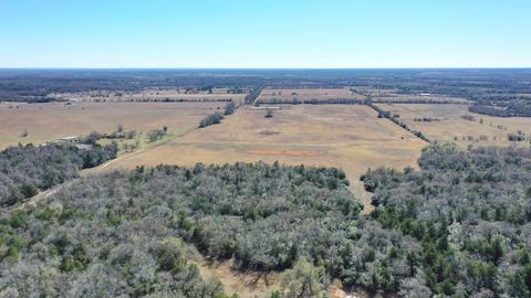 Vacant Land For Sale - TBD Cr 328, Tract 3, 10 Acres<br/> Burleson County, Caldwell, TX 77836