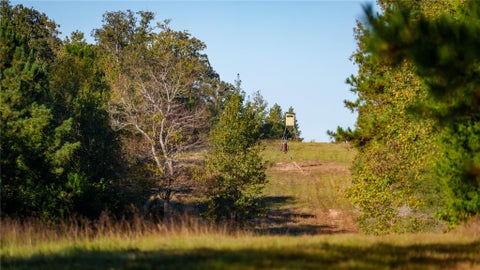 Photo of 15383 County Road 236, Oakwood, TX 75855 (MLS # 40839766)