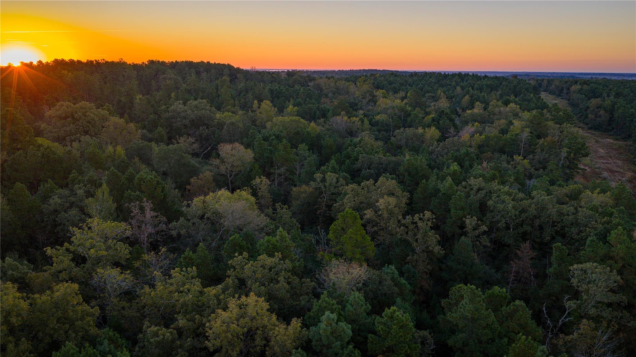 15383 County Road 236