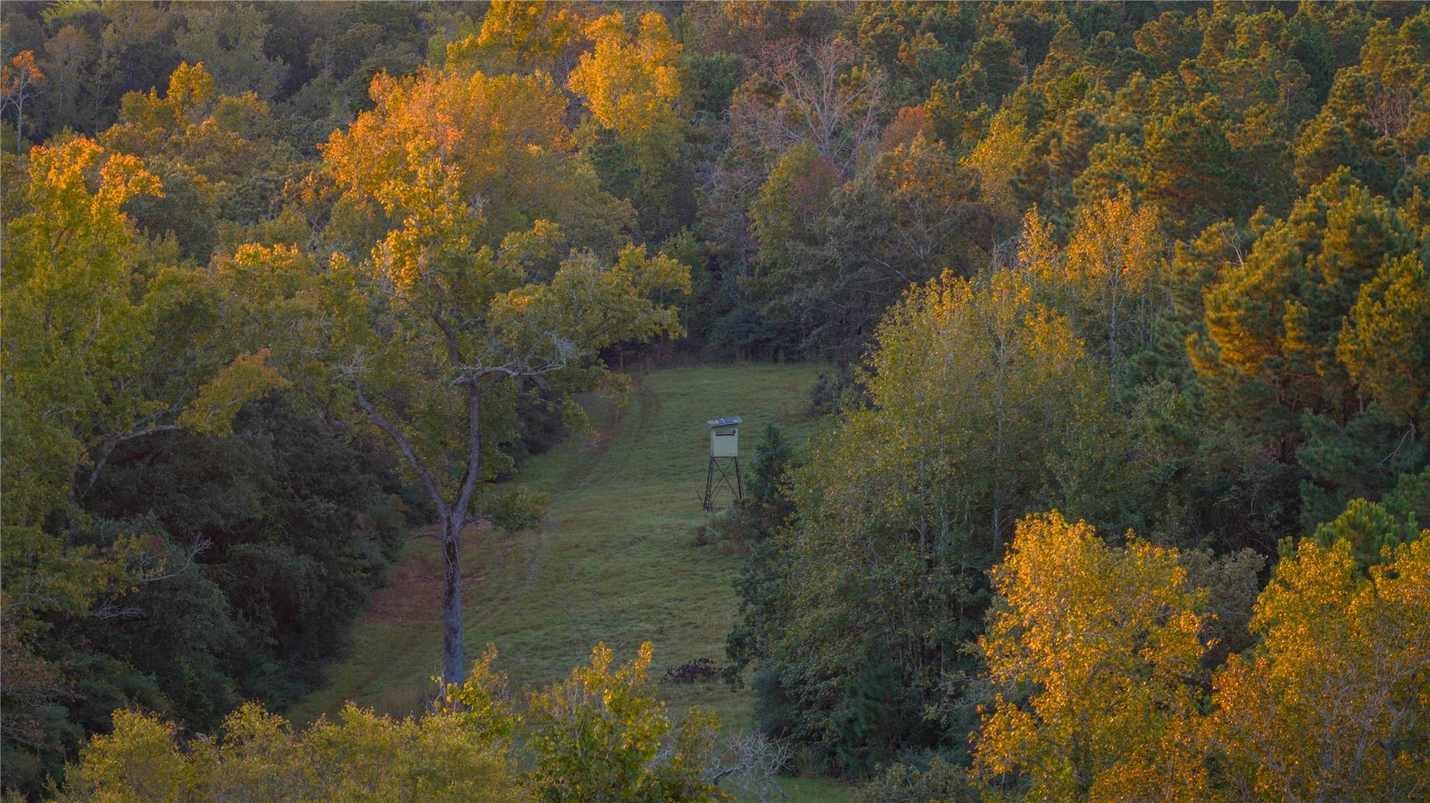 15383 County Road 236