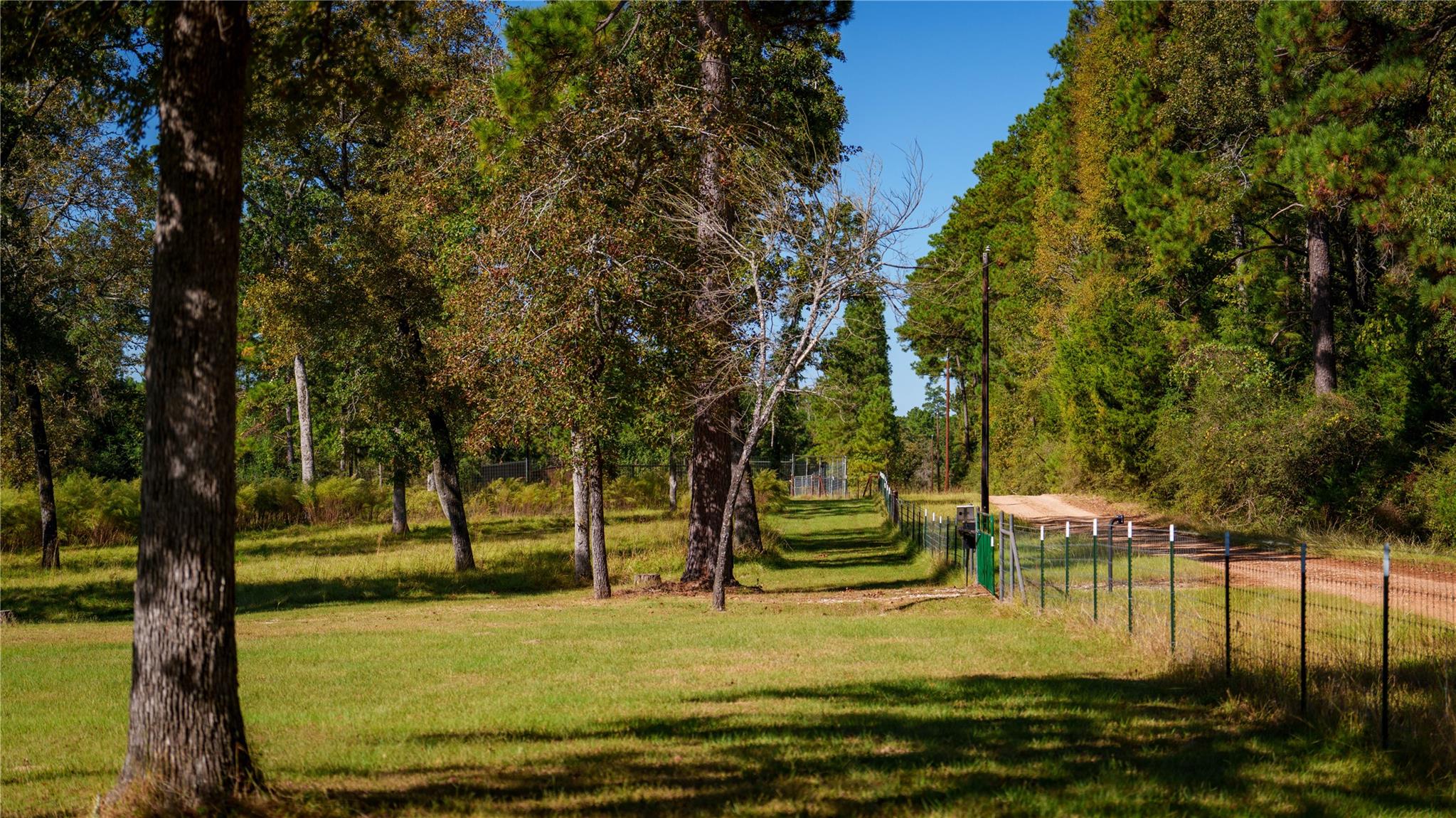 15383 County Road 236