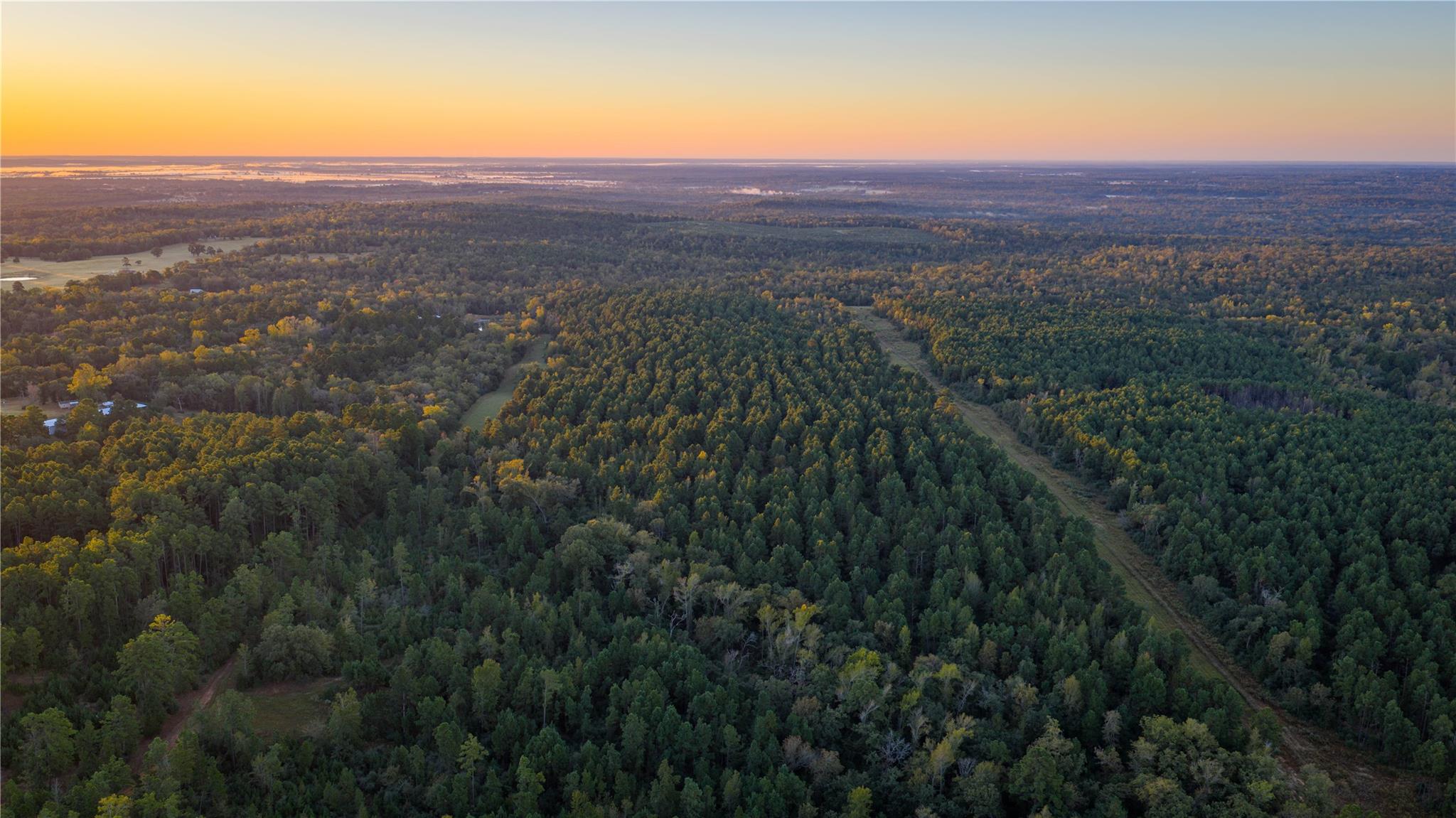 15383 County Road 236