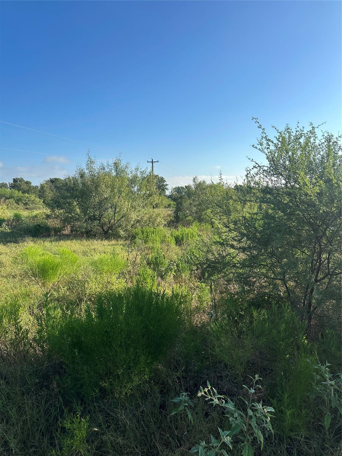 1503 County Road 428