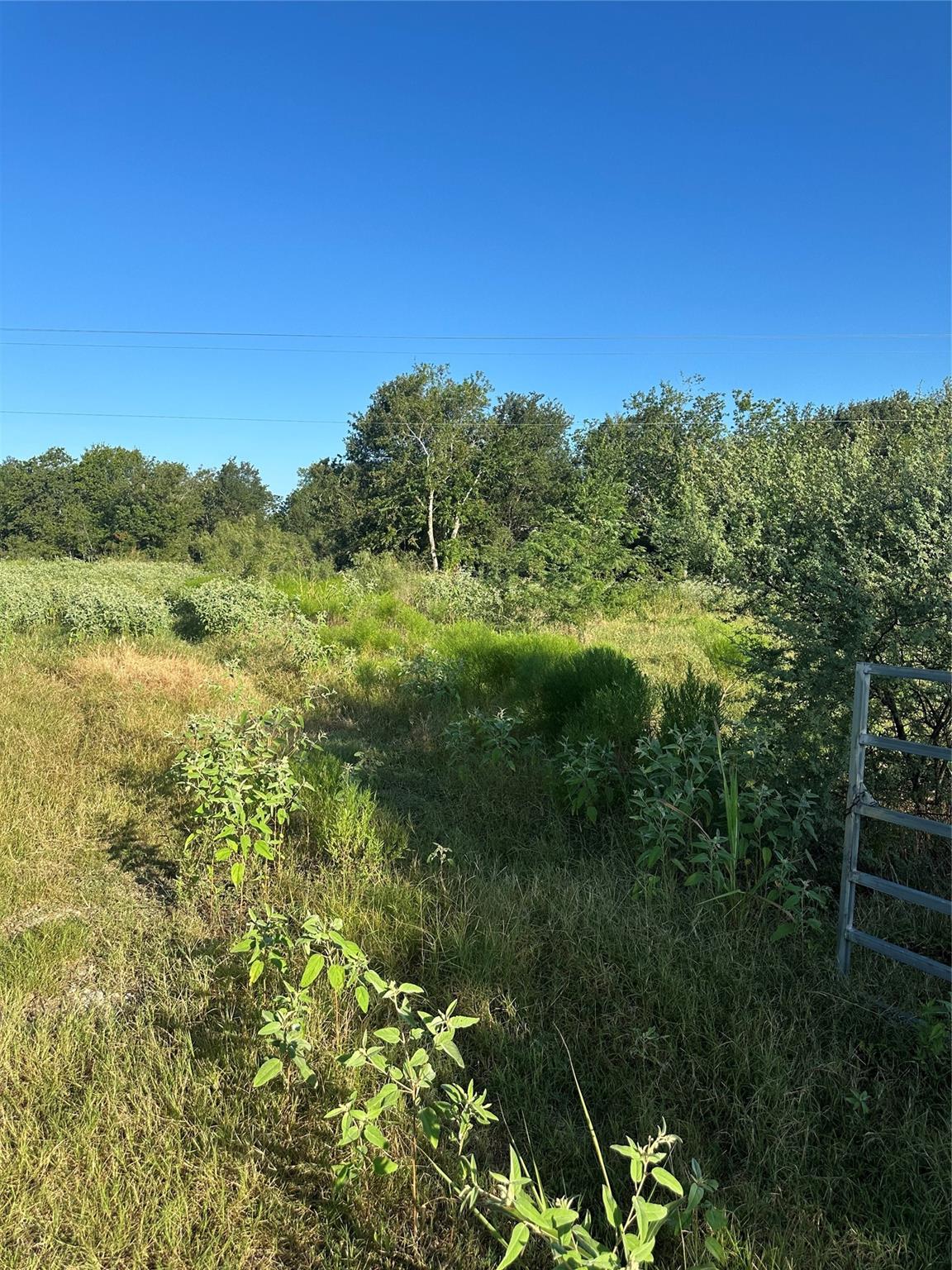 1503 County Road 428