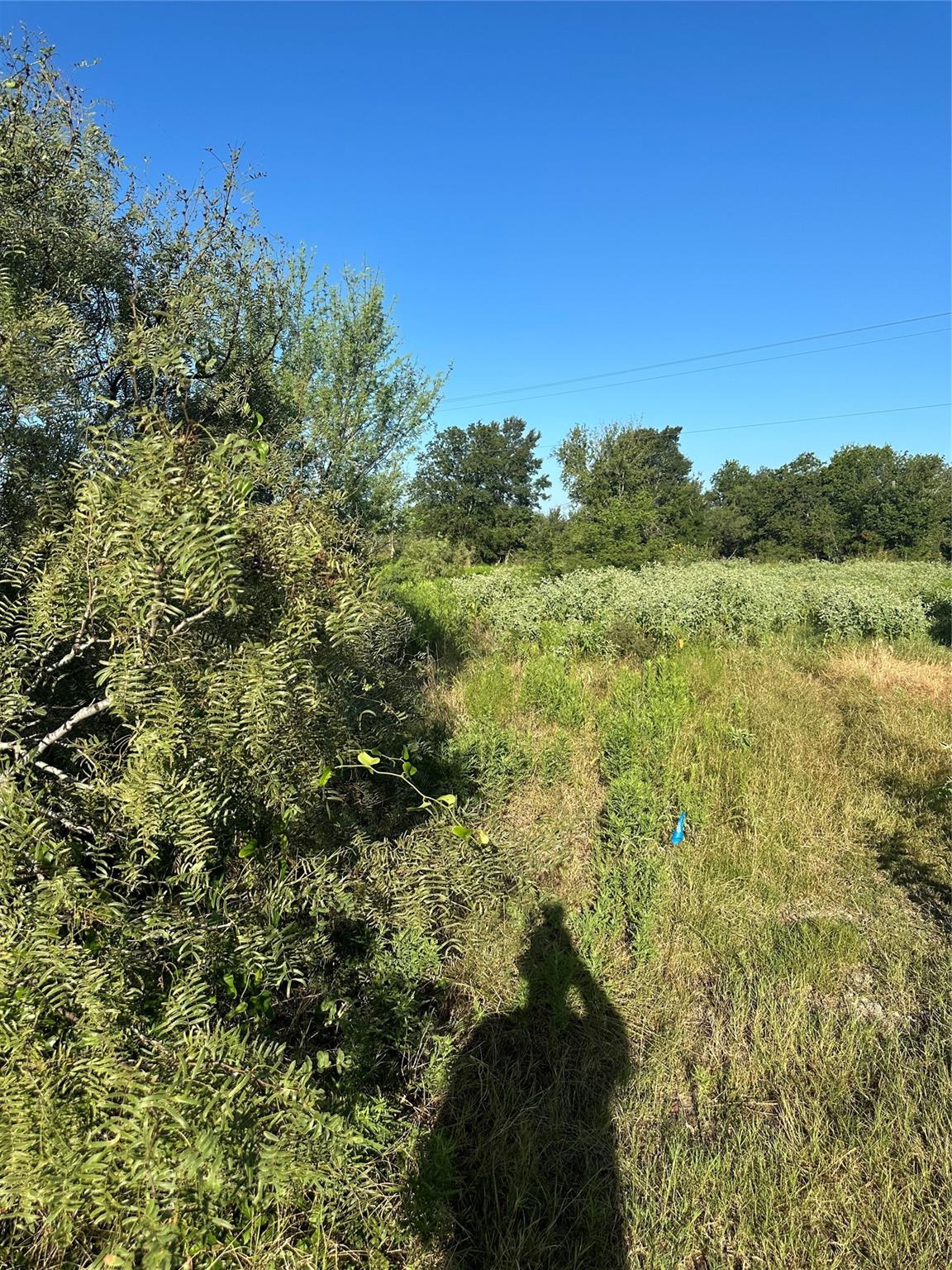 1503 County Road 428