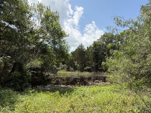 Tiny photo for 1359 County Road 208, Weimar, TX 78962 (MLS # 58315280)