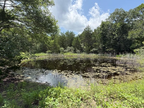 Tiny photo for 1359 County Road 208, Weimar, TX 78962 (MLS # 58315280)