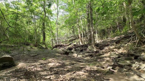 Tiny photo for 1359 County Road 208, Weimar, TX 78962 (MLS # 58315280)