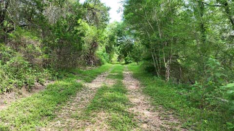 Tiny photo for 1359 County Road 208, Weimar, TX 78962 (MLS # 58315280)
