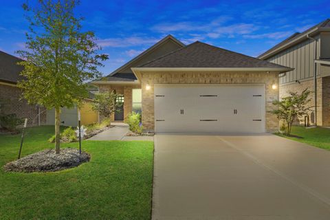 9622 Blue Water Hyssop Conroe TX 77385