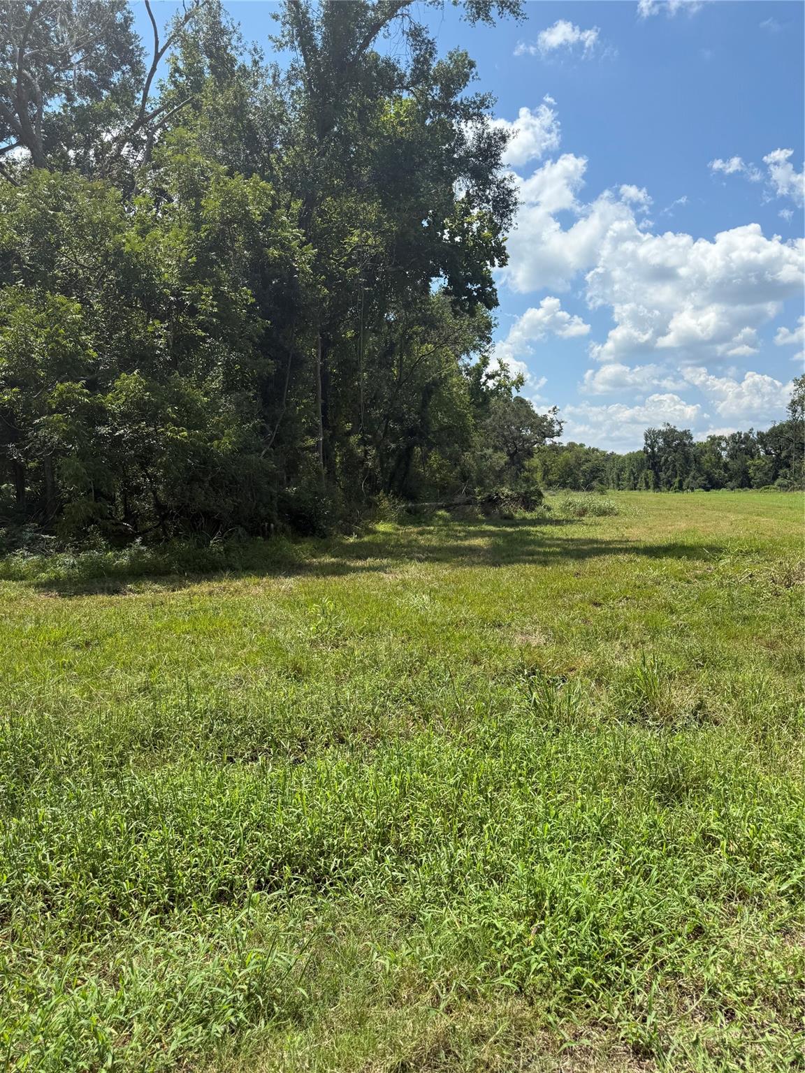 652 Pony Trail