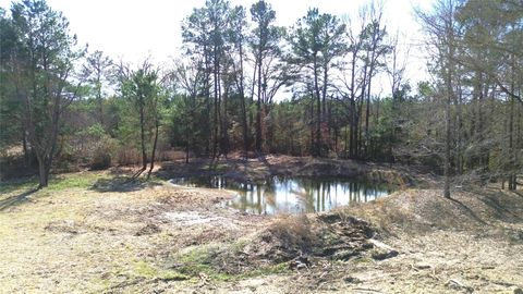 Vacant Land For Sale - 000 Cr 4120<br/> Houston County, Crockett, TX 75835