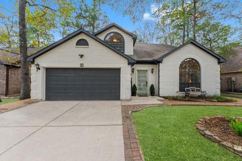 6 Dusky Meadow Place The Woodlands TX 77381