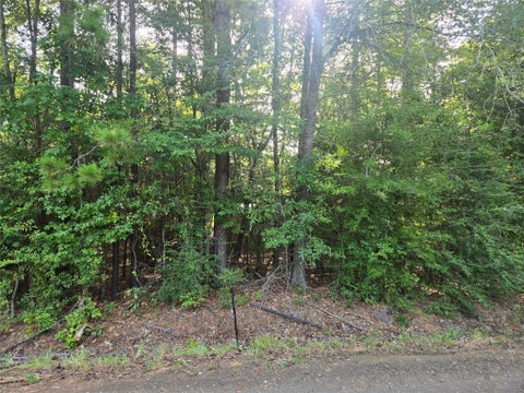 Photo of Lo Leisure Drive, Hemphill, TX 75948 (MLS # 54505500)