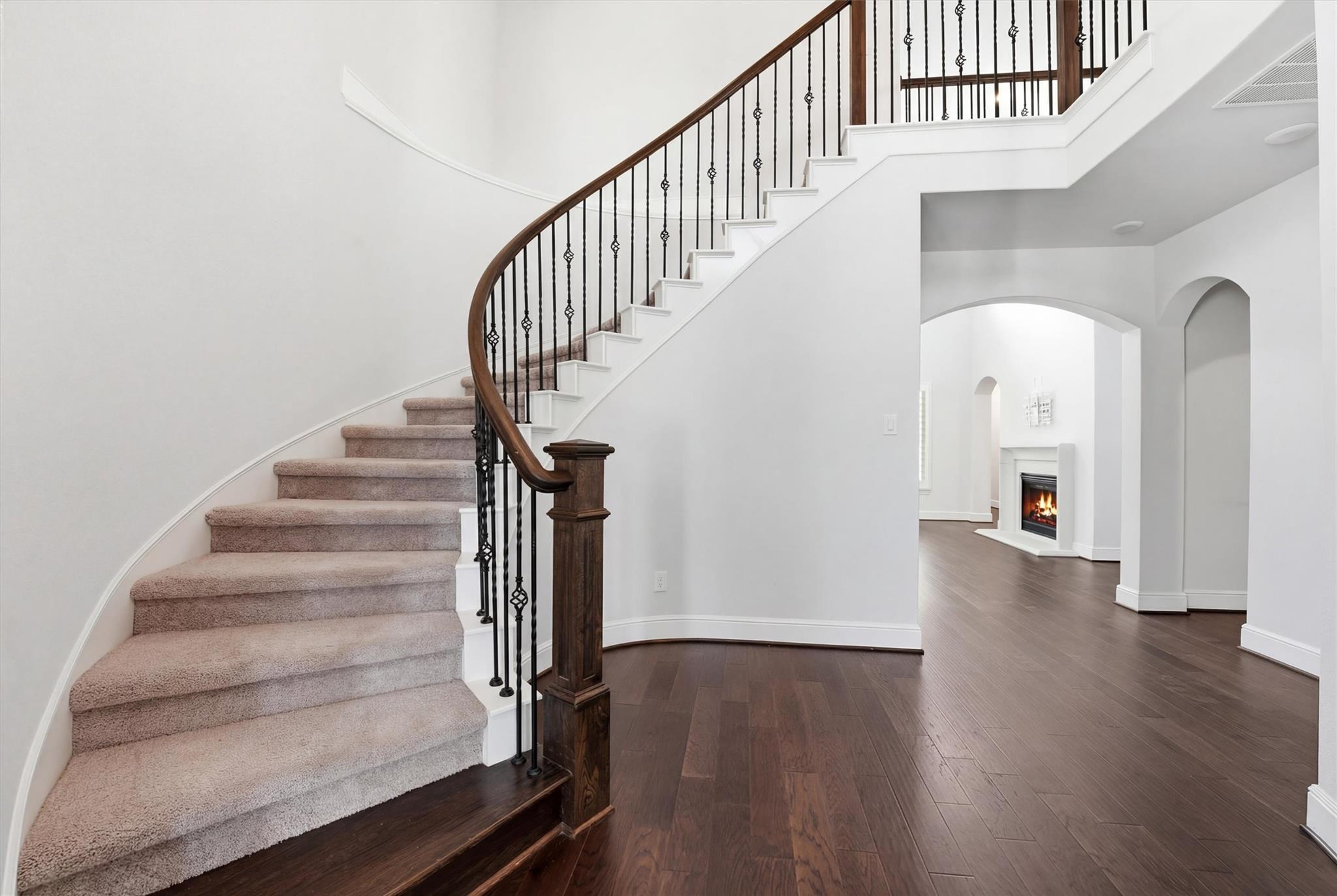 18011 Zagranski Cedar