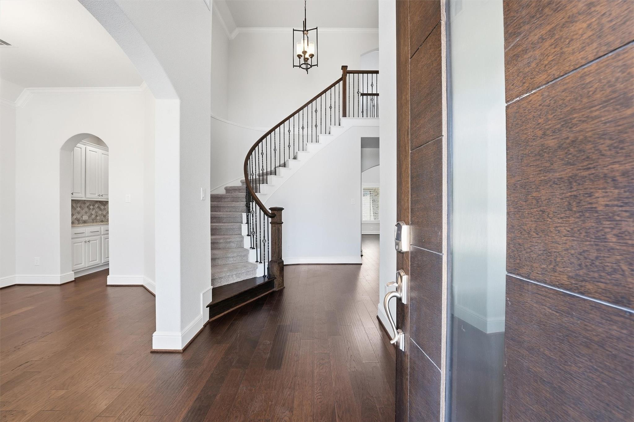 18011 Zagranski Cedar