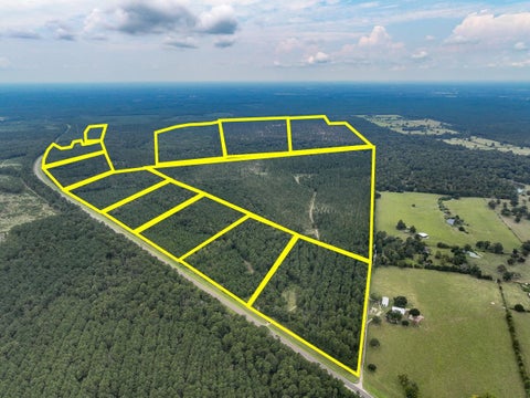 Photo of 34 Highway 94 Road, Groveton, TX 75845 (MLS # 21439629)