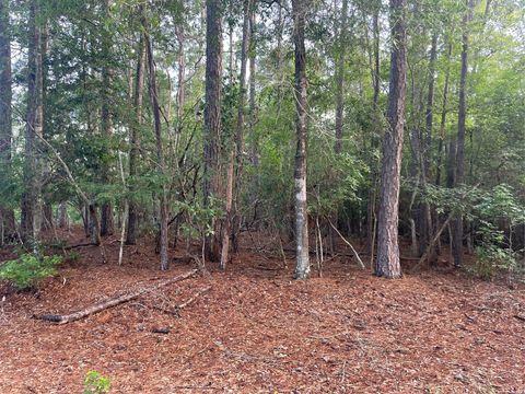 Vacant Land For Sale - LOT 2 Buckeye Street<br/> Village Mills, TX 77663