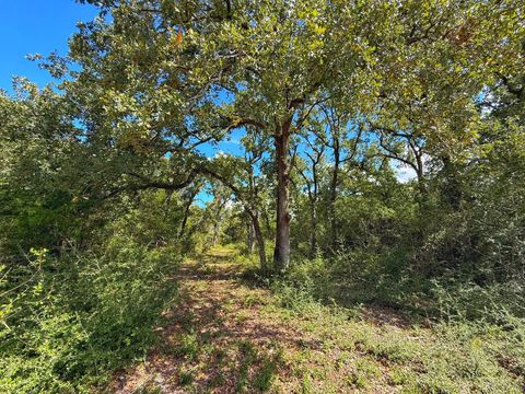 3803 Pr 4100 Marquez TX 77865