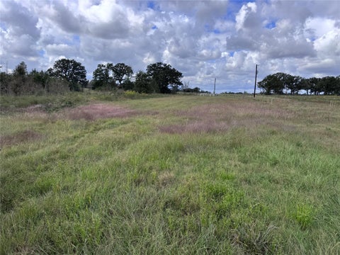 Photo of 4852 County Road 227, Bedias, TX 77831 (MLS # 49123742)