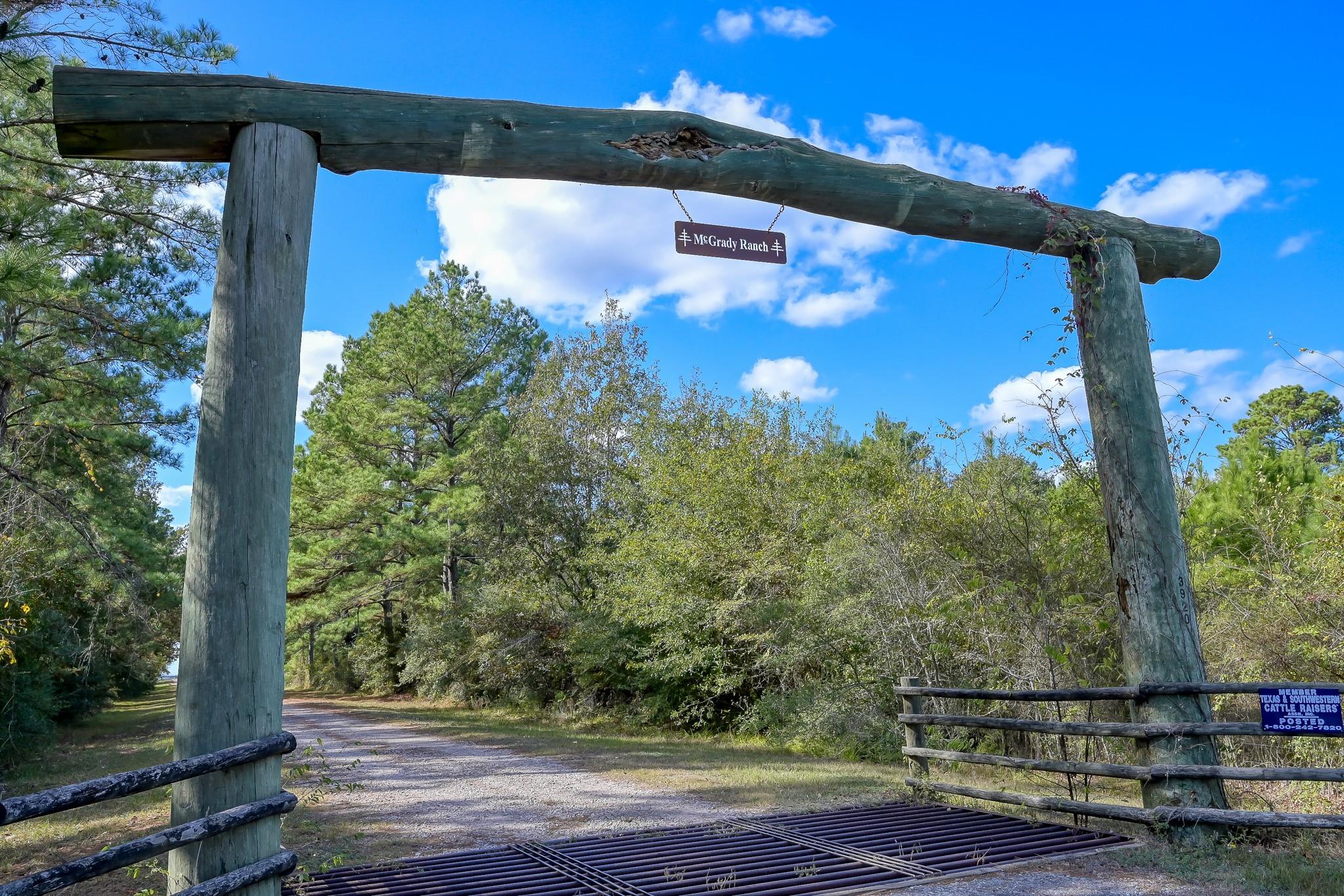 200 ACRES Spring Branch Road