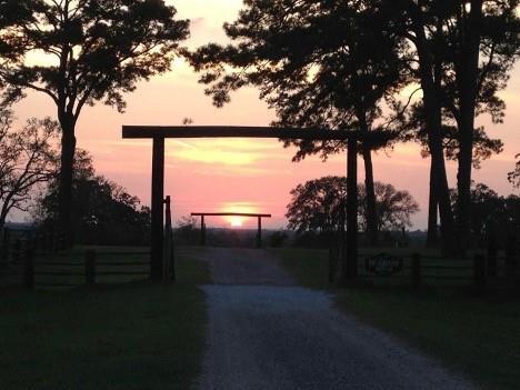 200 ACRES Spring Branch Road