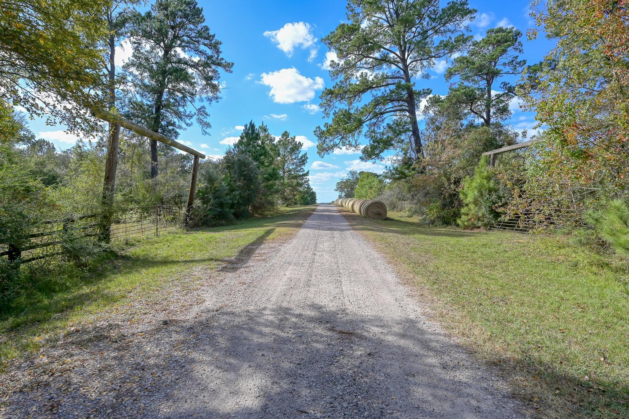 200 ACRES Spring Branch Road