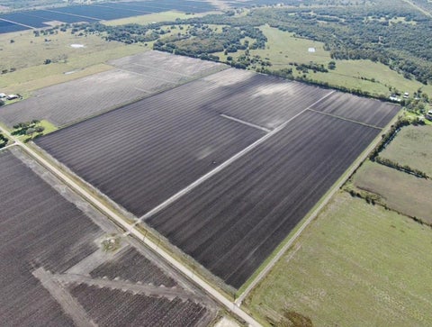Vacant Land For Sale - 1010 County Road 23<br/> Damon, TX 77430