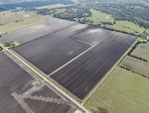 1010 County Road 23 Damon TX 77430