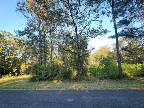 Photo of 0 Hackberry Drive, Onalaska, TX 77360 (MLS # 84079291)