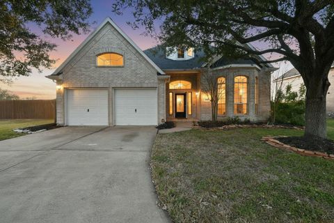 3918 Austin Lake Court Pearland TX 77581