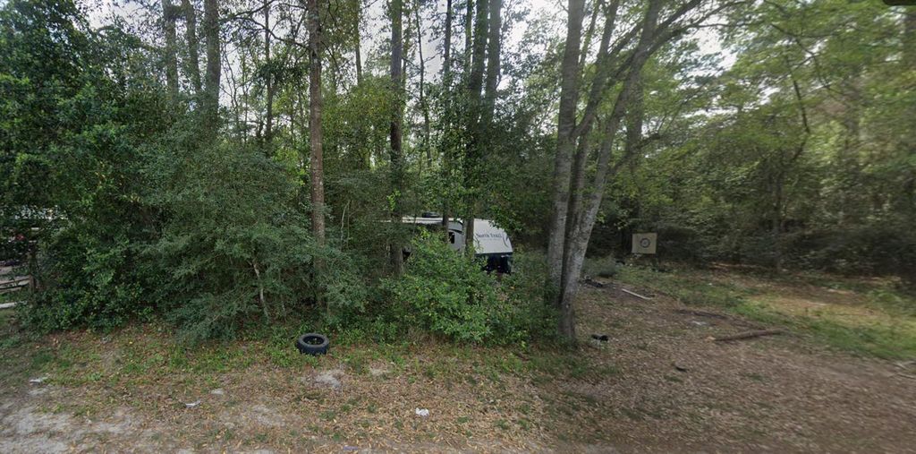 Photo of 108 Peach Creek Drive, New Caney, TX 77357 (MLS # 77436013)