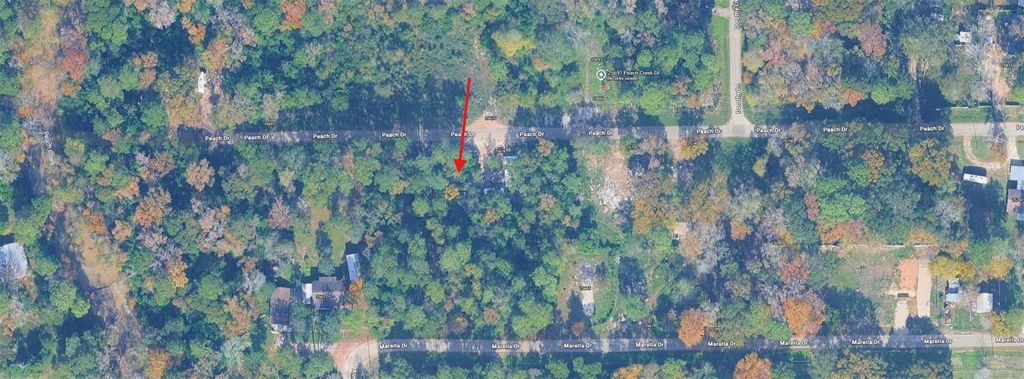 Photo of 108 Peach Creek Drive, New Caney, TX 77357 (MLS # 77436013)