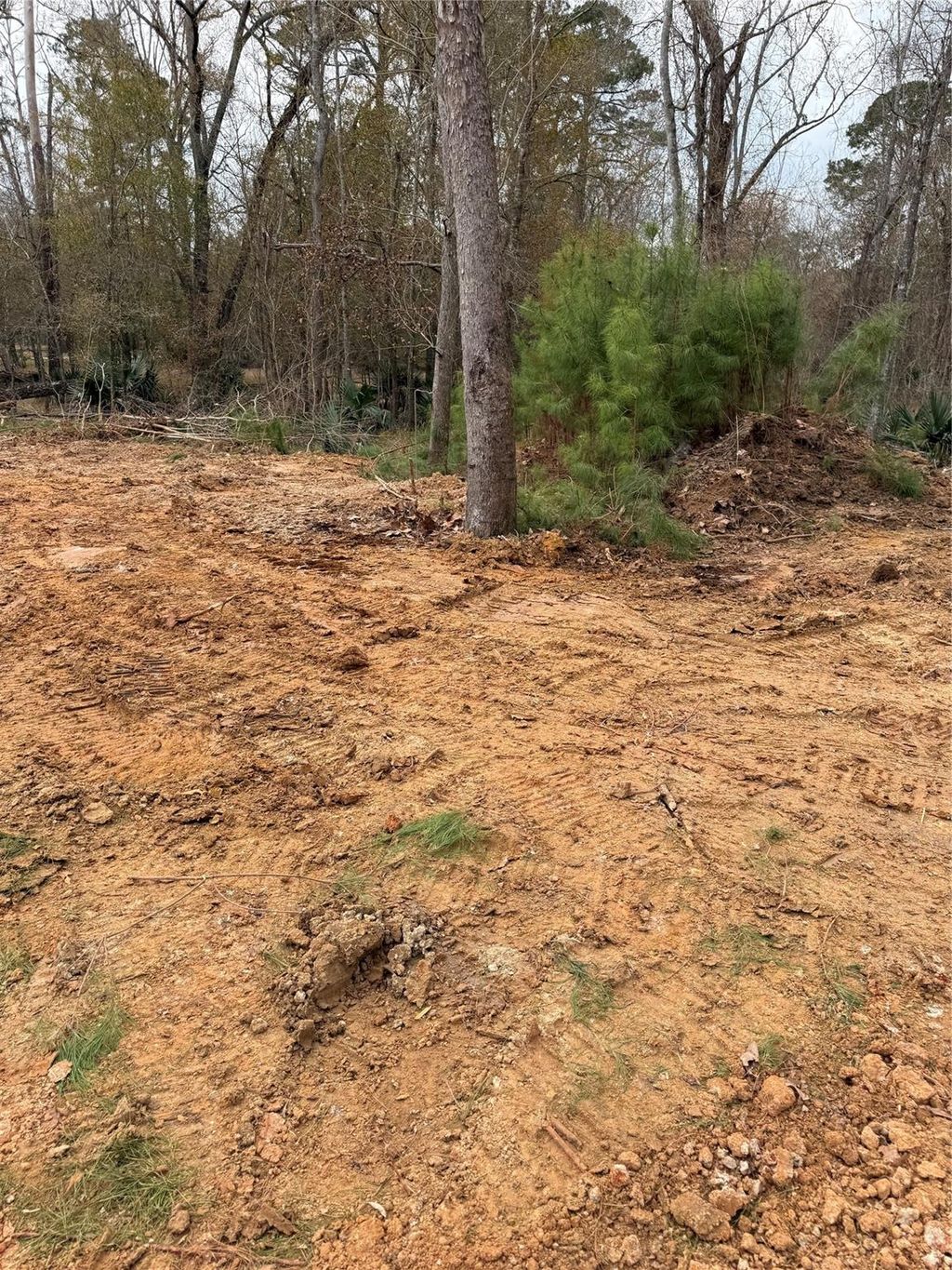 Photo of 524 White Oak Drive, Houston, TX 77336 (MLS # 7214506)