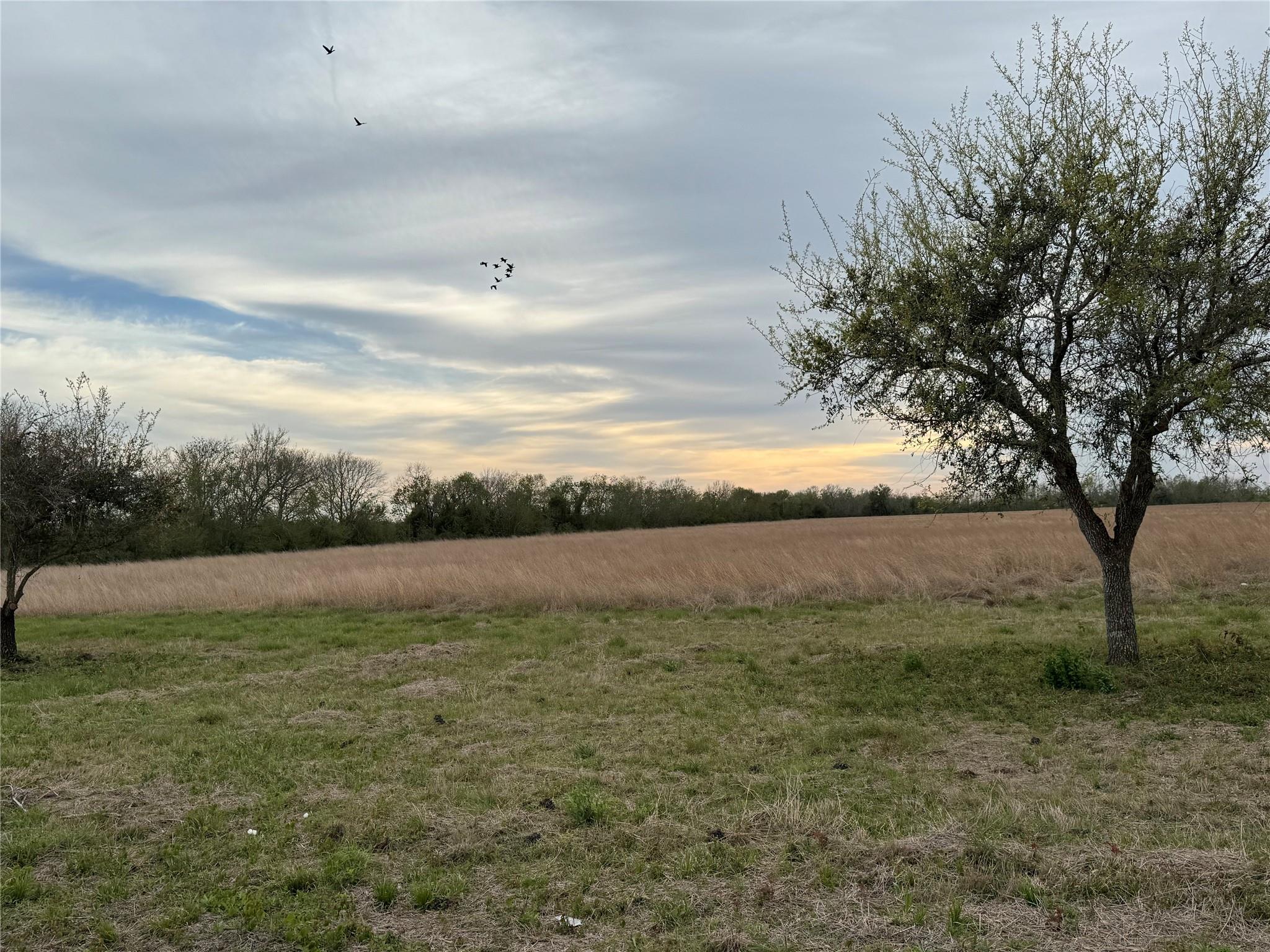 02 County Road 46