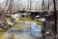 13223 County Road 136 East