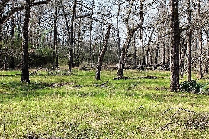 13223 County Road 136 East