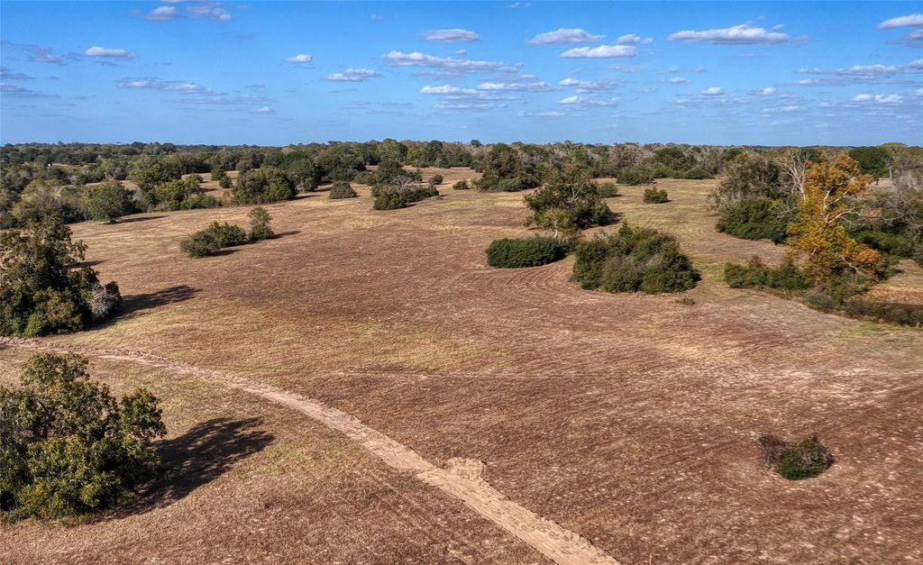 Photo of 4 Creekview Trail, Brenham, TX 77833 (MLS # 89668228)