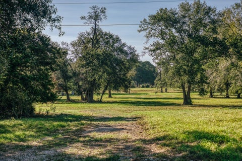 Photo of 7846 County Road 227, Bedias, TX 77831 (MLS # 7279247)