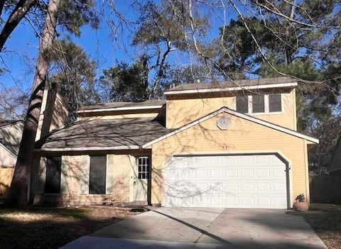 Photo of 37 Rockfern Court, The Woodlands, TX 77380 (MLS # 7495092)