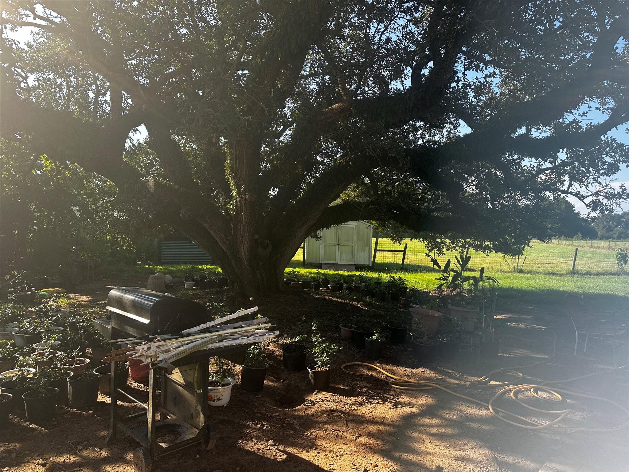 1925 County Road 2274