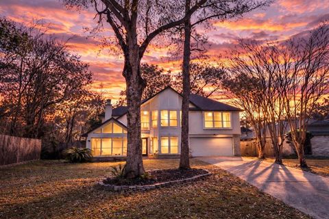 56 N Morningwood Court Spring TX 77380