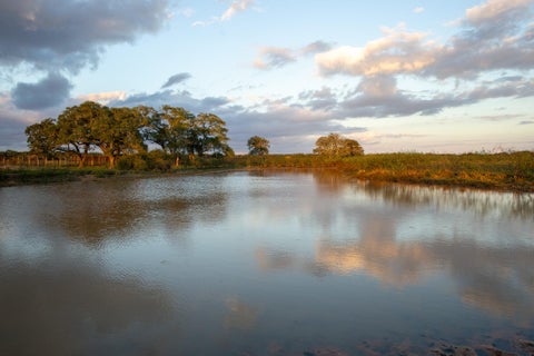 Photo of TBD County Road 15a, Hallettsville, TX 77964 (MLS # 31277849)