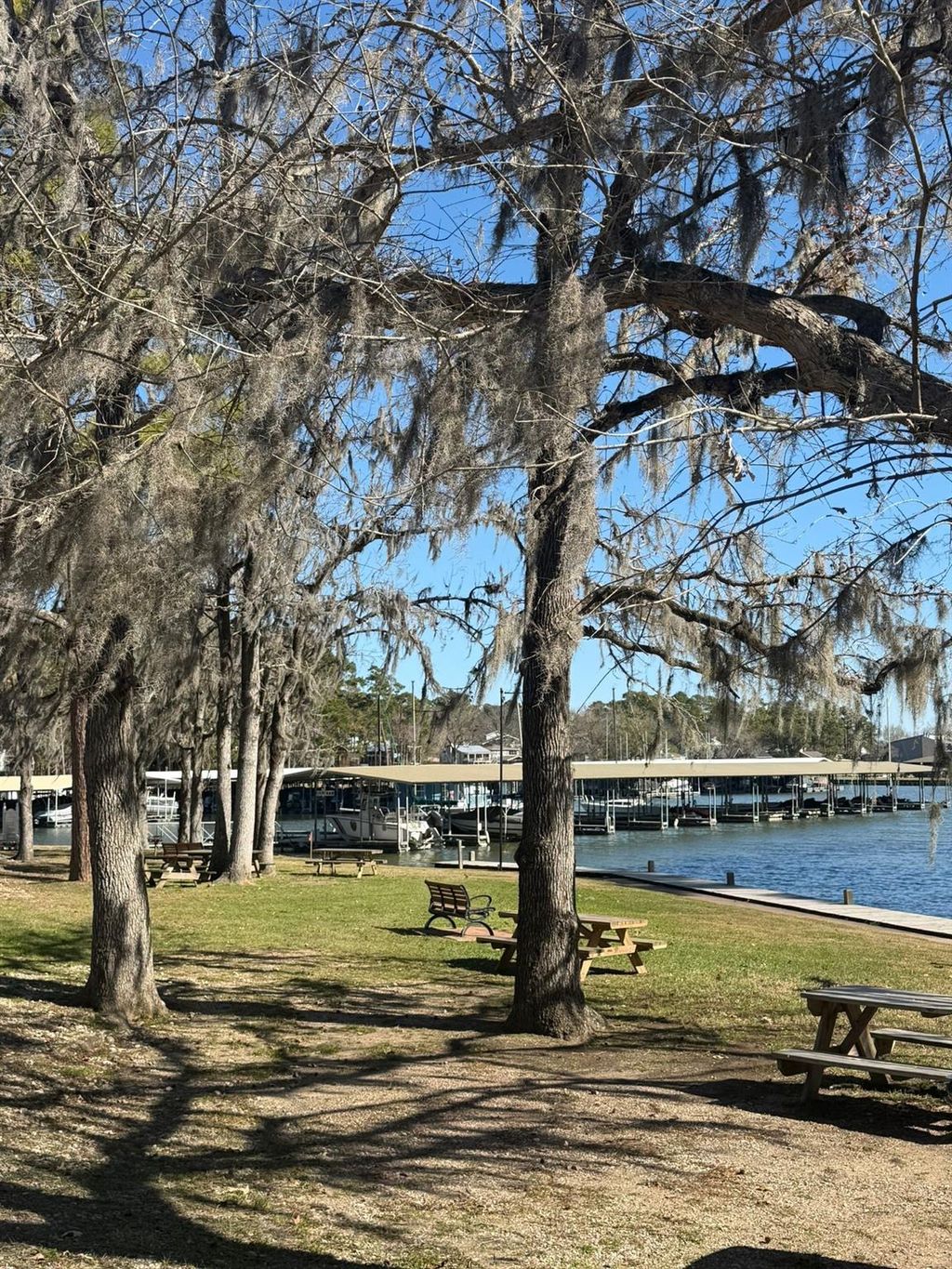 Photo of 0 Royale Greens Drive, Coldspring, TX 77331 (MLS # 54483029)