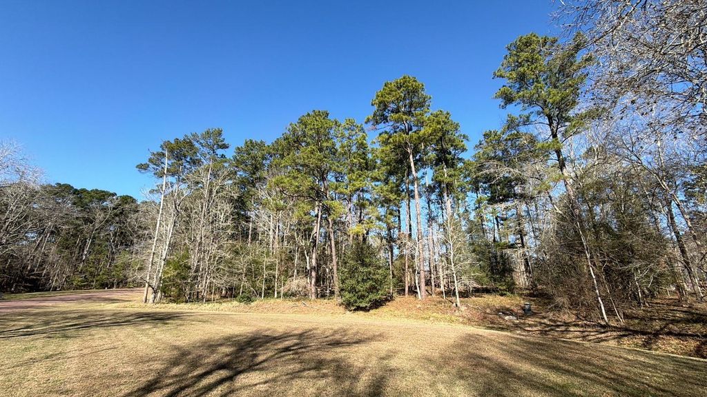 Photo of 0 Royale Greens Drive, Coldspring, TX 77331 (MLS # 54483029)